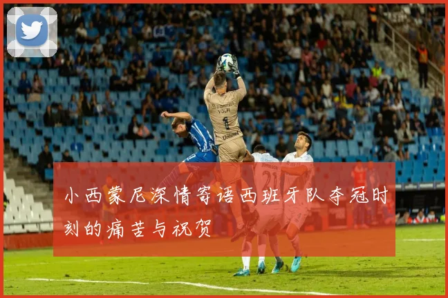 小西蒙尼深情寄语西班牙队夺冠时刻的痛苦与祝贺