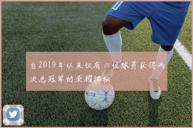 自2019年以来仅有六位球员获得两次总冠军的荣耀揭秘