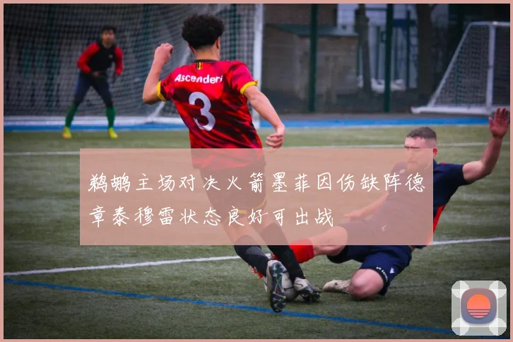 鹈鹕主场对决火箭墨菲因伤缺阵德章泰穆雷状态良好可出战
