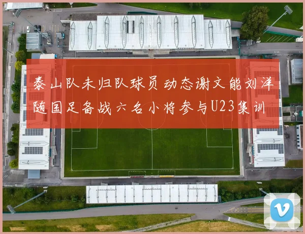泰山队未归队球员动态谢文能刘洋随国足备战六名小将参与U23集训