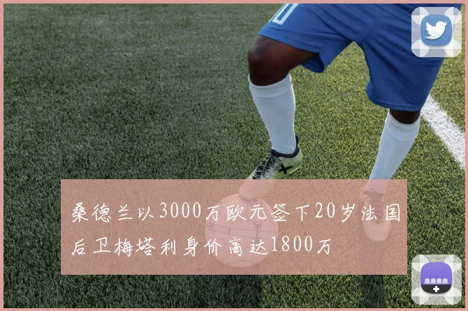 桑德兰以3000万欧元签下20岁法国后卫梅塔利身价高达1800万